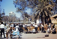 Каир - На открытии Всемирной сельскохозяйственной выставки в Каире, 1961: