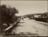 Израиль - Палестинская колония в долине Теребинф, 1867-1870