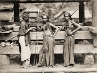 Индонезия - Воины индонезийской народности батаки.