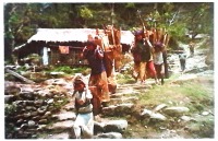 Непал - Заготовка дров на зиму