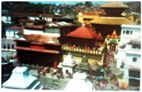 Непал - Катманду. Храмовый комплекс Пашупатинатх