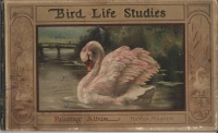 Пресса - Альбом живописи Изучение жизни птиц