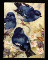 Пресса - Синие Птицы Счастья