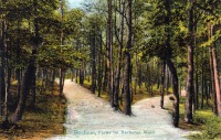 Бохум - Rechener-park-bunt-1907-c