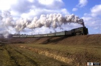 Железная дорога (поезда, паровозы, локомотивы, вагоны) - Паровоз П36-0050 с поездом.