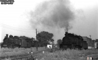 Железная дорога (поезда, паровозы, локомотивы, вагоны) - Паровозы Эр и Эм в депо Сентяновка,Луганская область.