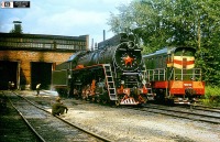 Железная дорога (поезда, паровозы, локомотивы, вагоны) - Паровоз ЛВ-283 и тепловоз ЧМЭ3-994 в депо Миасс,Челябинская область.