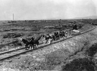 Железная дорога (поезда, паровозы, локомотивы, вагоны) - Собачья упряжка на узкоколейной железной дороге,Аляска,США