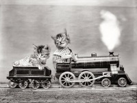 Железная дорога (поезда, паровозы, локомотивы, вагоны) - Котята на паровозе
