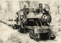 Железная дорога (поезда, паровозы, локомотивы, вагоны) - Паровоз №9 системы Гейслера на лесозаготовках