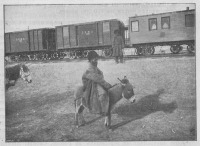 Железная дорога (поезда, паровозы, локомотивы, вагоны) - Ишак и поезд