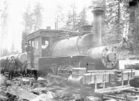 Железная дорога (поезда, паровозы, локомотивы, вагоны) - Танк-паровоз типа 0-2-1 на лесозаготовках