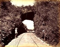 Железная дорога (поезда, паровозы, локомотивы, вагоны) - Участок железной дороги Коломбо-Канди