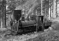 Железная дорога (поезда, паровозы, локомотивы, вагоны) - Паровоз в лесу