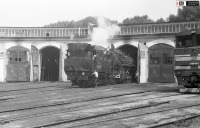 Железная дорога (поезда, паровозы, локомотивы, вагоны) - Паровозы 9П-21517 и ФД21-3125 в депо Льгов