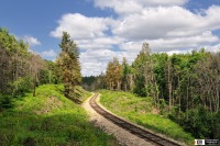 Железная дорога (поезда, паровозы, локомотивы, вагоны) - Перегон Барнуковка - Высотная. Линия Сенная-Петровск-Аткарск.