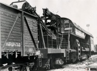 Железная дорога (поезда, паровозы, локомотивы, вагоны) - Землеуборочная машина системы Балашенко на ст.Оренбург