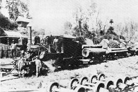 Железная дорога (поезда, паровозы, локомотивы, вагоны) - Паровоз системы Climax на лесозаготовках