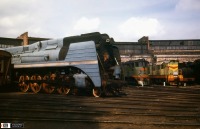Железная дорога (поезда, паровозы, локомотивы, вагоны) - Паровоз П36-0218 в депо Тихорецкая