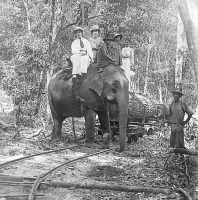 Железная дорога (поезда, паровозы, локомотивы, вагоны) - Слон на транспортировке тиковых  деревьев по  железной дороге