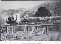 Железная дорога (поезда, паровозы, локомотивы, вагоны) - Танк-паровоз на лесозаготовках