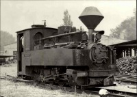 Железная дорога (поезда, паровозы, локомотивы, вагоны) - Узкоколейный танк-паровоз 99 3313-6