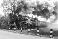 Железная дорога (поезда, паровозы, локомотивы, вагоны) - Паровоз ТЭ-5314 на колее 1435мм