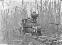  - Паровоз на лесозаготовках в Джорджии