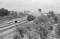 Железная дорога (поезда, паровозы, локомотивы, вагоны) - Паровоз П36 с поездом