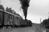 Железная дорога (поезда, паровозы, локомотивы, вагоны) - Паровоз Л-0413 со сборным поездом на перегоне Рославль-I - Рославль-II