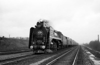 Железная дорога (поезда, паровозы, локомотивы, вагоны) - Парово серии П36 с поездом 