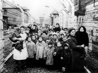 Войны (боевые действия) - Освобожденные дети из концлагеря Освенцим.
