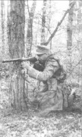 Войны (боевые действия) - Германский унтер-офицер в засаде в лесу.