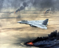 Войны (боевые действия) - F-14A во время операции 