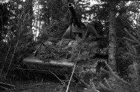 Войны (боевые действия) - Танк Т-34 замаскированный в лесу,Калининский фронт