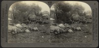 Войны (боевые действия) - Армейский обоз, уничтоженный врагом, 1914-1918