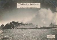 Войны (боевые действия) - Турецкая артиллерия в Египте, 1914-1918