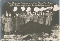 Войны (боевые действия) - Король Саксонии на охоте в Беловежской Пуще, 1914-1918