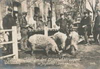 Войны (боевые действия) - Сельская идиллия в Ягодине, Сербия, 1914-1918