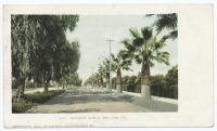 Штат Калифорния - Пасадена. Бруксайд Авеню, 1903