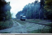 Рязань - Тепловоз ТУ2-235 у станции Солотча