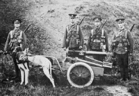 Военная техника - Британские солдаты и собаки запряженные в тележку с пулеметом Льюиса и патронами