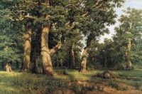 Картины - «Дубовая роща» 1887