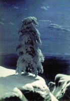 Картины - Иван Шишкин. «На севере диком» 1891