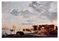 Картины - Альберт Кейп (1620 - 1691). Коровы на берегу реки.