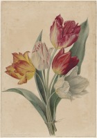 Картины - Лесные тюльпаны