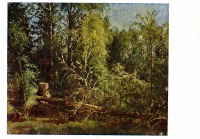 Картины - І. І. Шишкін. Зрубане дерево.