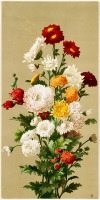 Картины - Белые и красные хризантемы