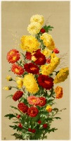 Картины - Жёлтые и красные хризантемы