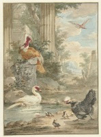 Картины - Экзотические птицы в классическом парке
